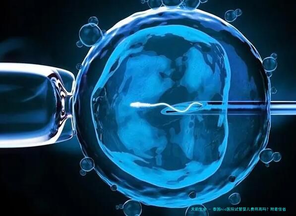 泰国nic医院试管婴儿费用高吗？附最佳省钱攻略