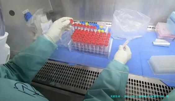 2026上海仁心医院精子试管费用介绍，附上海仁心精子试管流程！