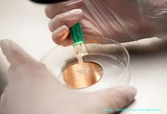 成都试管助孕机构前十榜单,附成功率与真实分享!