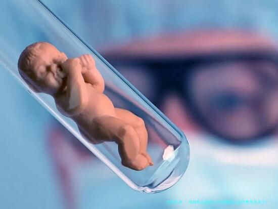 信阳私立医院三代试管婴儿治疗费用是多少？