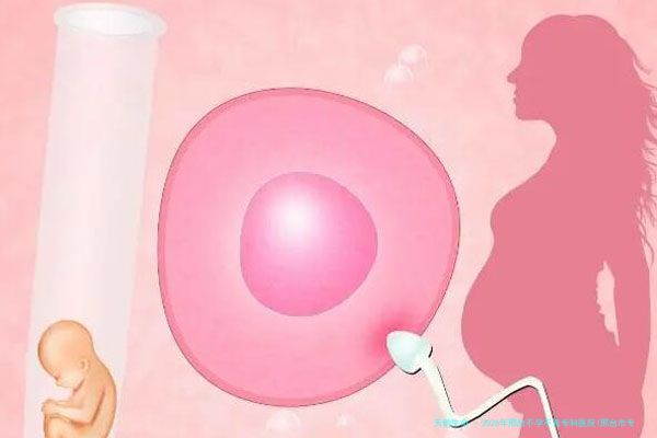 2026年邢台不孕不育专科医院(邢台市专科医院)试管婴儿价目表是怎样的？