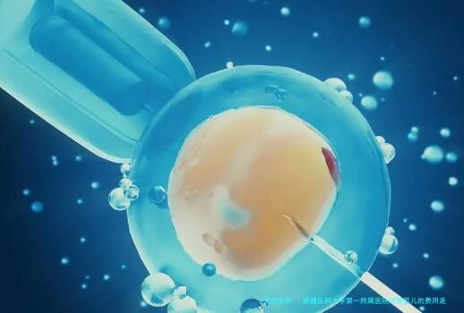 新疆医科大学第一附属医院试管婴儿的费用是多少？