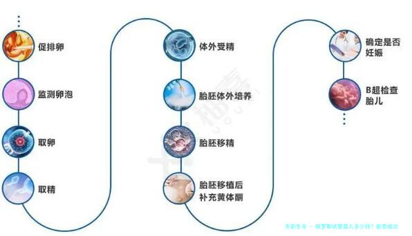 俄罗斯试管婴儿多少钱？能否成功