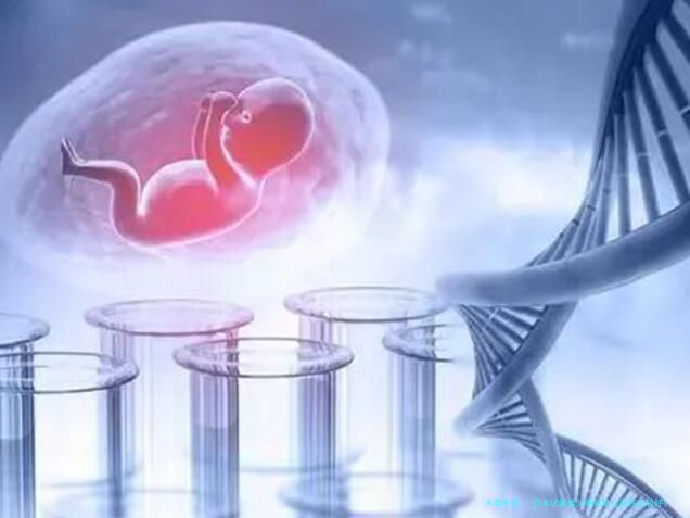 日本试管婴儿哪家私立医院比较好？