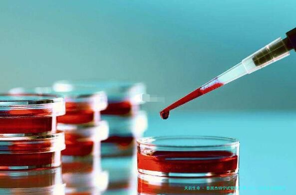 泰国杰特宁试管医生哪个好？杰特宁试管医生的排名是怎么样的