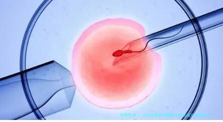 2026年泰国试管婴儿医院成功率是多少？围观一下