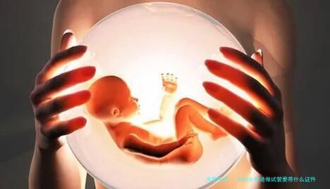 2026去香港做试管要带什么证件