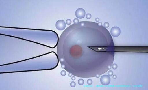 潍坊第三代试管婴儿医院排名前五（让你轻松选择）
