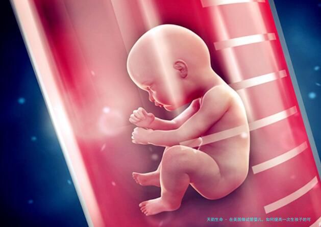 在美国做试管婴儿，如何提高一次生孩子的可能性？
