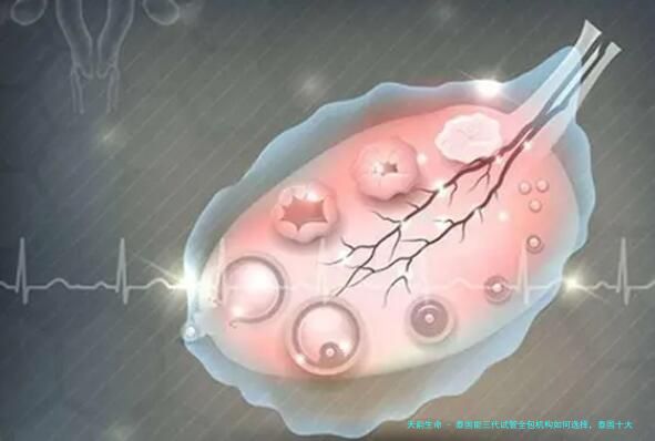 泰国能三代试管全包机构如何选择，泰国十大医院排名