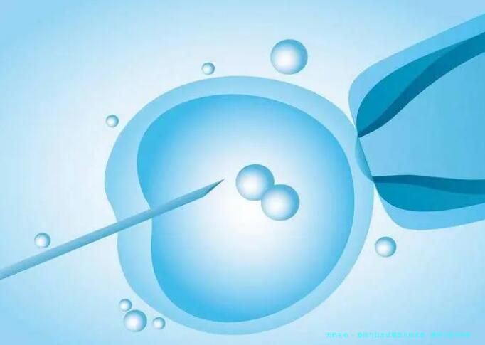 泰国与日本试管婴儿技术最：费用与成功率数据详解