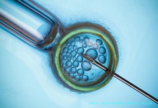 佛山市一医院试管婴儿费用是多少，佛山试管出名的医院