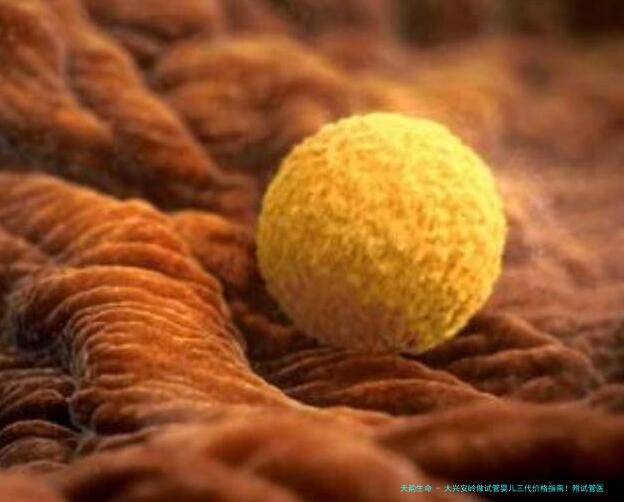 大兴安岭做试管婴儿三代价格指南！附试管医院费用