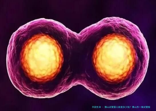 佛山试管婴儿检查多少钱？佛山市一做试管检查费好贵