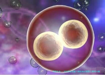 2026年去安医一附院做试管婴儿费用大概是多少？