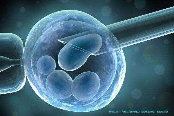 焦作三代试管私人机构专家推荐，是否值得选择