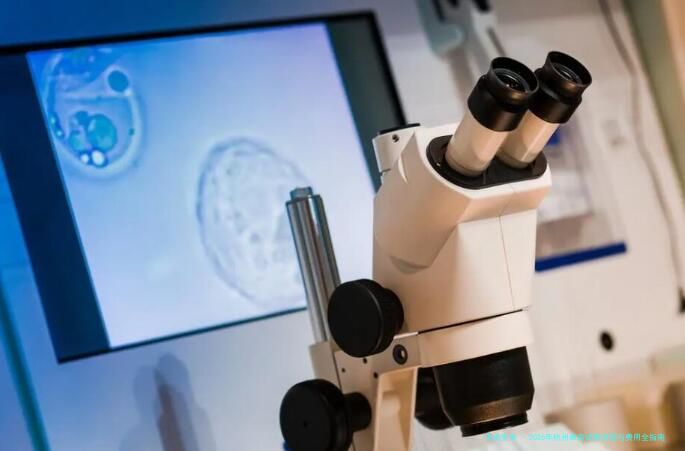 2026年杭州单身试管流程与费用全指南