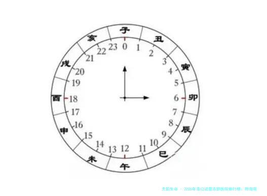 2026年海口试管冻卵医院排行榜：附海南本地正规生殖中心选择指南与费用明细