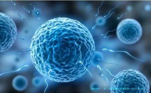 在广东医附属医院做试管一次3万至10万，其中医保可以报多少？