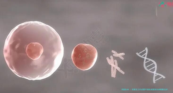 石家庄三代试管不排队的医院名单最新出炉，附石家庄助孕成功率3重推