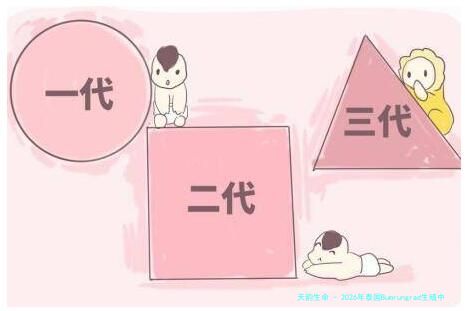 2026年泰国Bumrungrad生殖中心做试管婴儿大概需要多少费用？