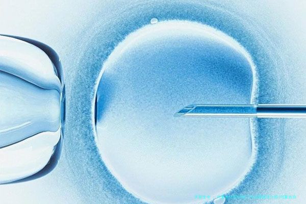 内蒙古比较好的三代试管医院介绍(内蒙古自治区试管婴儿哪个好)