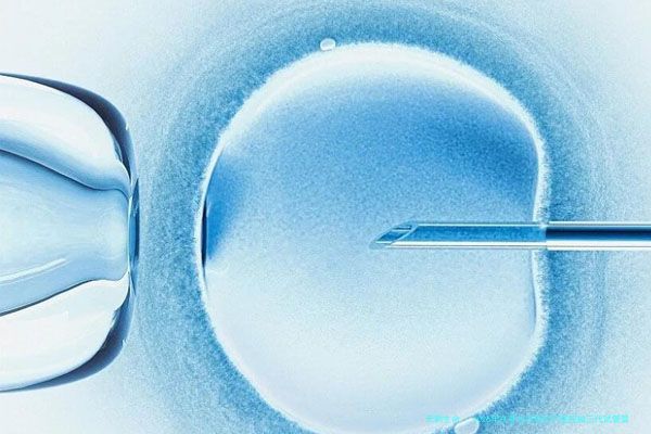 2026年在鄂尔多斯妇产医院做三代试管婴儿费用是多少？费用明细有吗？