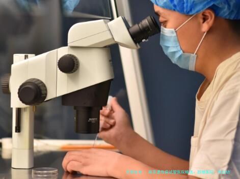 南京遗传病试管医院精选：鼓楼医院、市妇幼等机构解析PGT技术助孕流程与费用