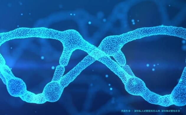 深圳私人试管医院怎么样,深圳做试管现在多少钱啊！