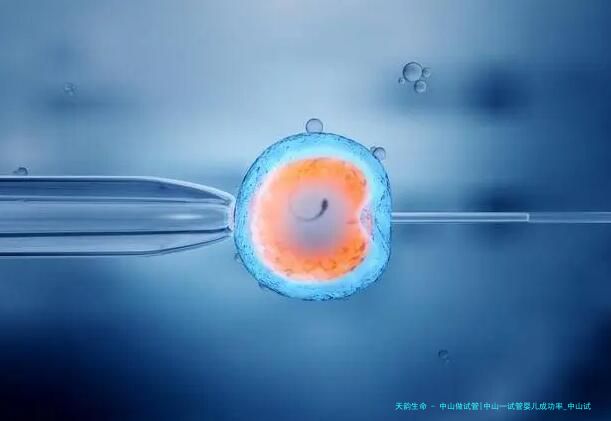 中山做试管|中山一试管婴儿成功率_中山试管哪家医院好！