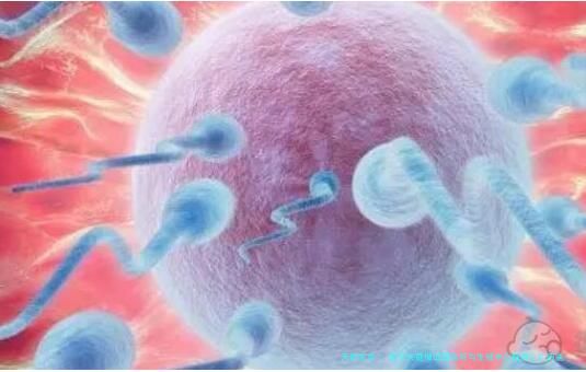 南宁失庭做试管医院与生殖中心精选：广西医科大学附属医院生殖中心等五家机构服务、技术、环境对比