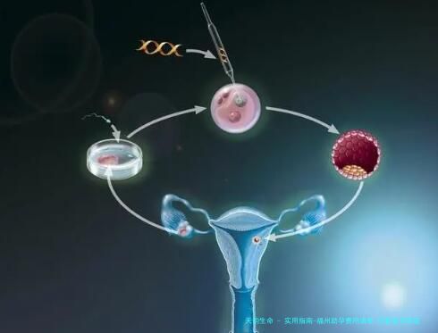 实用指南-福州助孕费用清单,试管备孕家庭必备参考