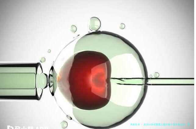 武汉53岁试管婴儿医院前十强名单出炉，附高龄试管成功经验与费用详情