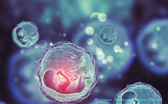 武汉市私立试管婴儿医院排名？武汉做试管的私人医院？