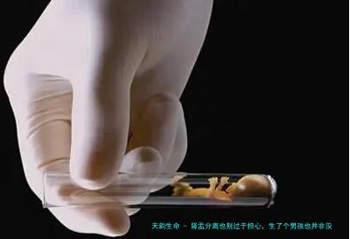 肾盂分离也别过于担心，生了个男孩也并非没可能