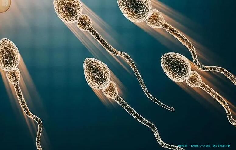 试管婴儿一次成功：选对医院是关键