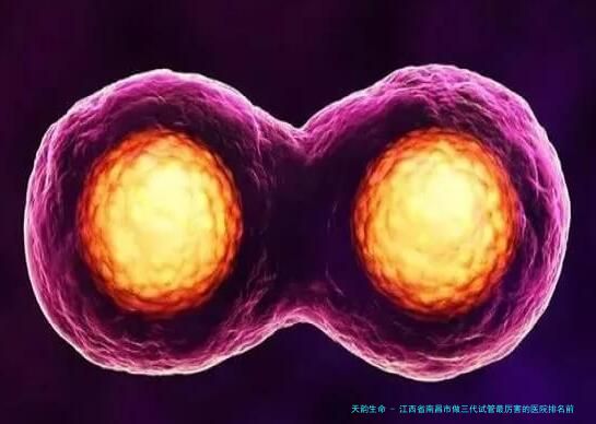 江西省南昌市做三代试管最厉害的医院排名前十，这几家医院最值得推荐