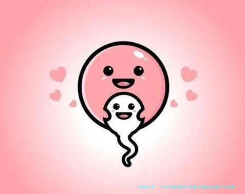 2026年帕洛阿尔托医疗基金会做三代试管价格贵吗？预计得花多少钱？