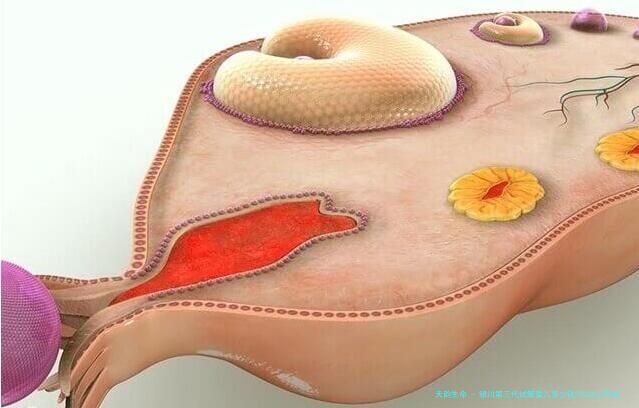银川第三代试管婴儿多少钱?2026三代试管助孕费用明细揭秘!