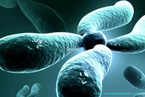 2026年在湖北省武汉做助孕生孩子大约要花费多少费用？