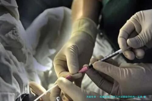 权威发布!北京三大试管助孕机构一览表,家庭优选这些高成功率方案!