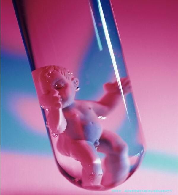 武汉鲜胚移植排名靠前的公立医院深度测评与费用全览