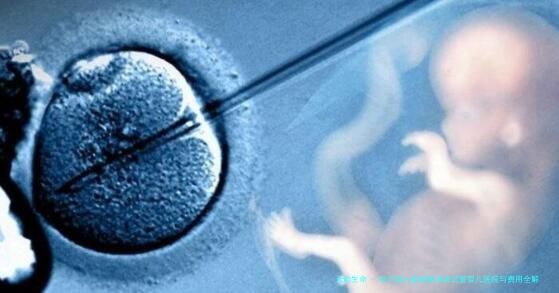 哈尔滨心脏病患者做试管婴儿医院与费用全解析：2026年本地口碑机构选择指南
