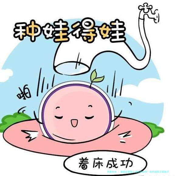 泰国试管婴儿成功率如何？如何选择正规医疗机构避免风险？