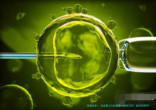 日本第三代试管婴儿费用几何？成功率高吗？如何权衡价值与投入？