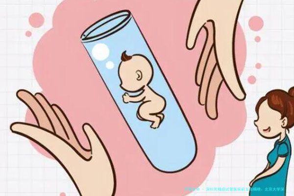 深圳死精症试管医院前五强揭晓：北京大学深圳医院、中山大学附属第八医院等机构上榜，附专家与费用解析