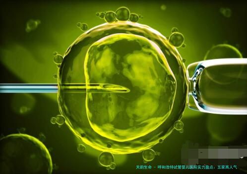 呼和浩特试管婴儿医院实力盘点：五家高人气机构特色解析与医生专长一览
