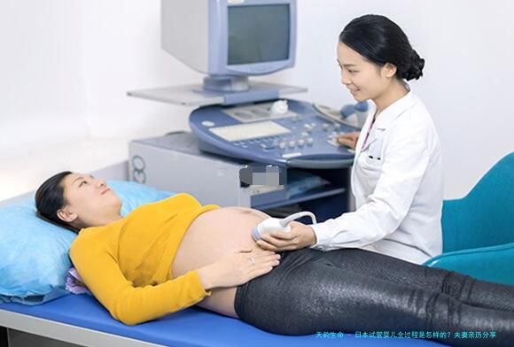 日本试管婴儿全过程是怎样的？夫妻亲历分享成功备孕全程及关键时间点