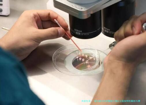 哈尔滨三代试管前三强公立医院特色解析与费用指南：附本地生殖科名医推荐