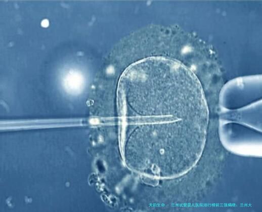 兰州试管婴儿医院排行榜前三强揭晓：兰州大学医院、甘肃省妇幼保健院等机构上榜附本地辅助生殖医生详细介绍